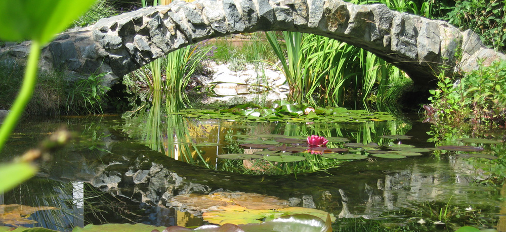 Wissensgarten - Chemnitz