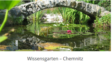 Sachsen Wissensgarten 2019 - GfWM